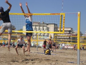 11102767_803877396314878_7728710259408416249_n